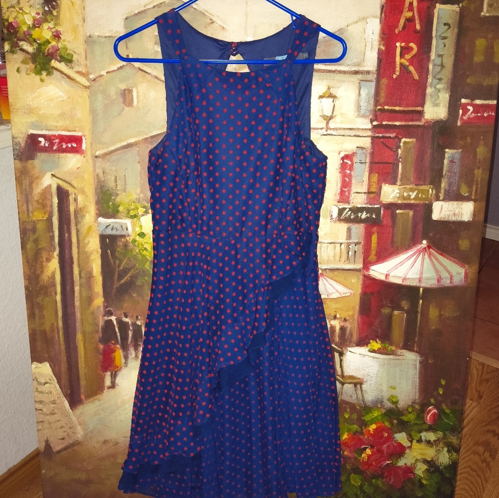Eva Franco Sleeveless Dress
